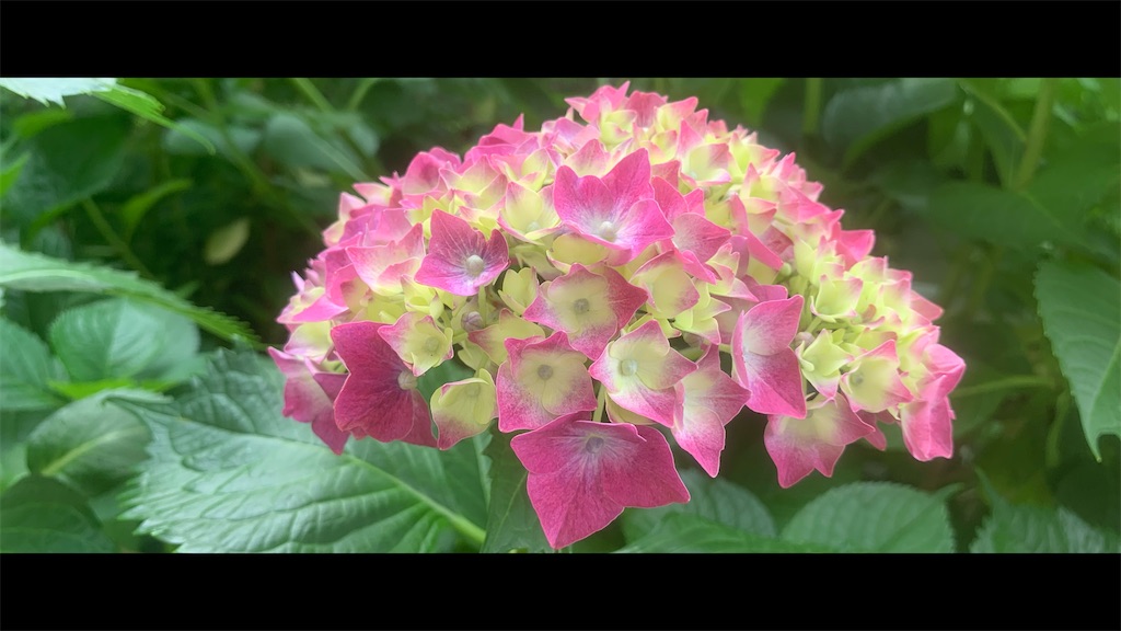 f:id:futagoya3:20250607221808j:image