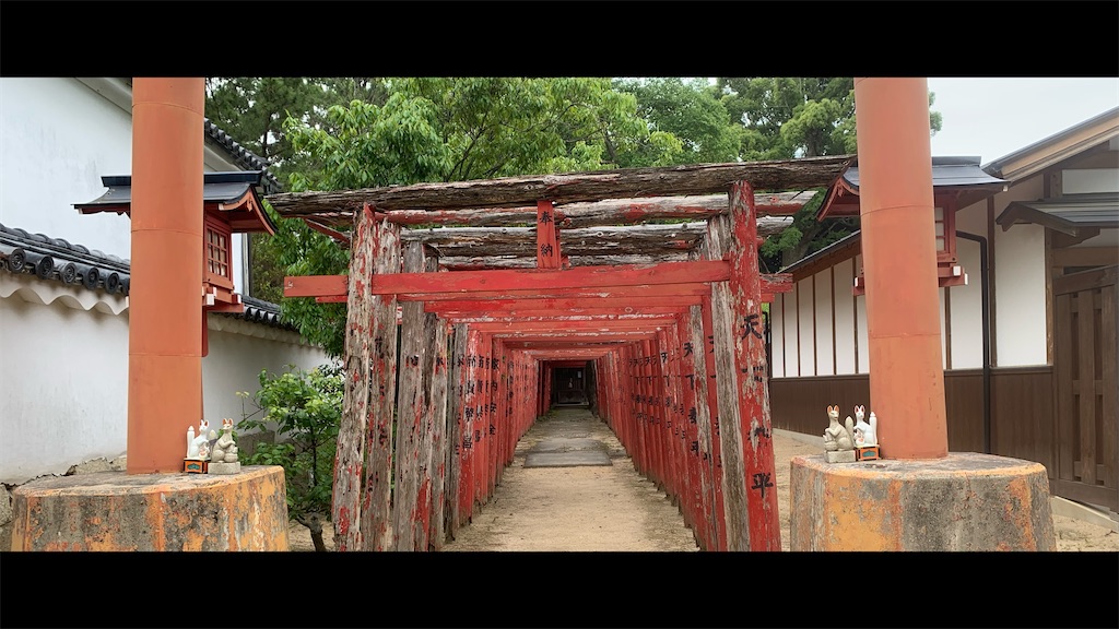 f:id:futagoya3:20250607222330j:image f:id:futagoya3:20250607222330j:image