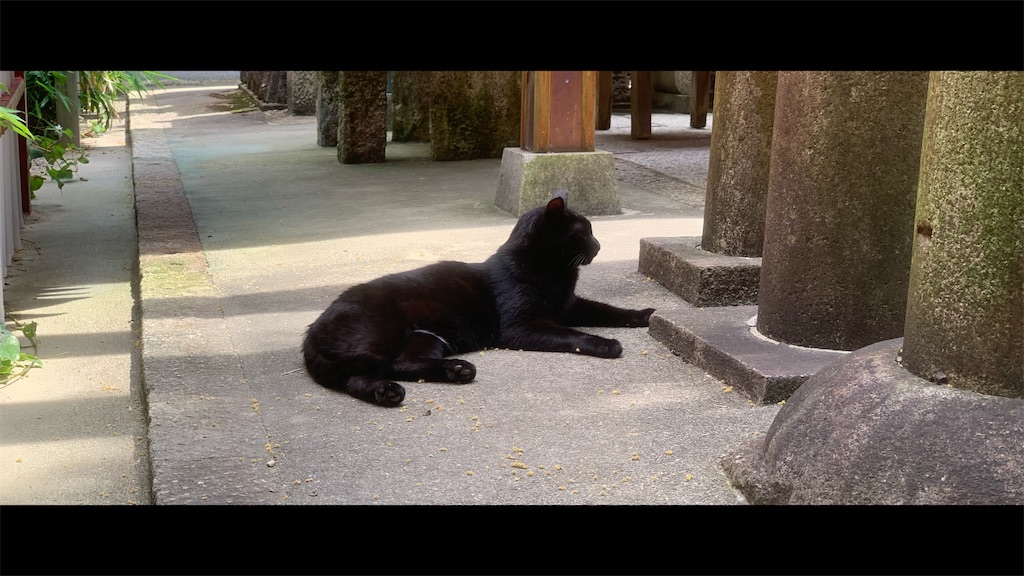 f:id:futagoya3:20250628154402j:image f:id:futagoya3:20250628154402j:image