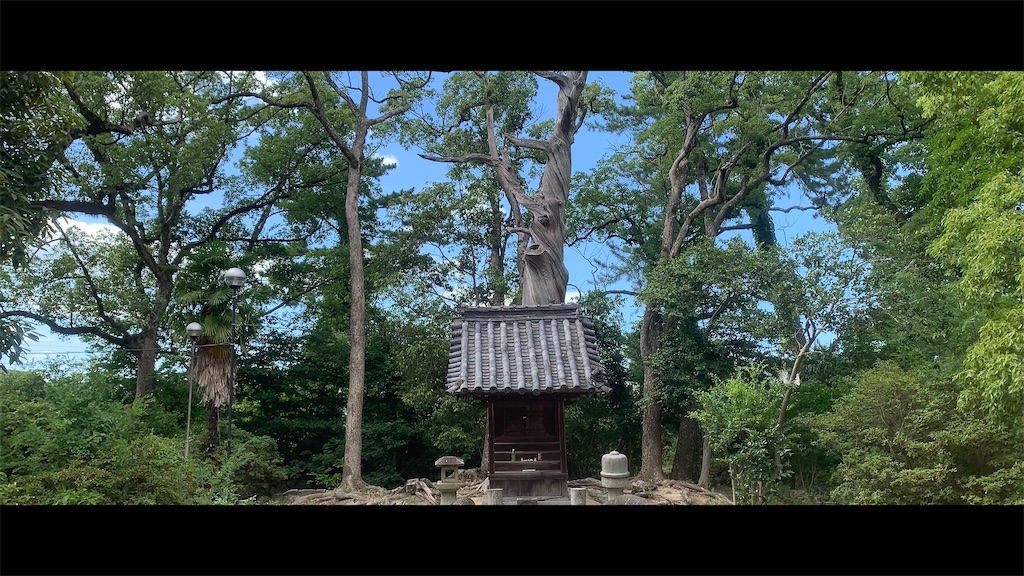 f:id:futagoya3:20250727184626j:image