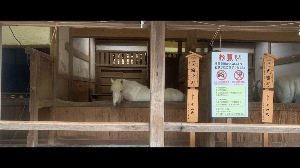 f:id:futagoya3:20251003190012j:image