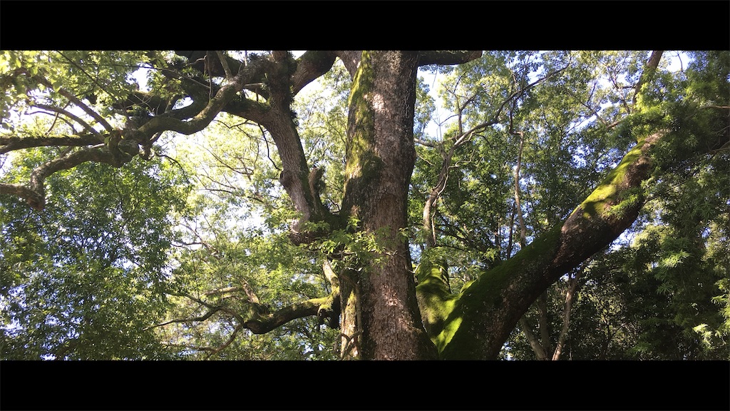 f:id:futagoya3:20251012093744j:image