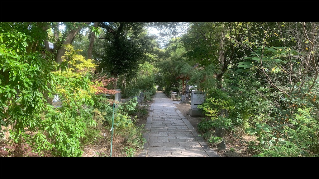 f:id:futagoya3:20251103211034j:image f:id:futagoya3:20251103211034j:image