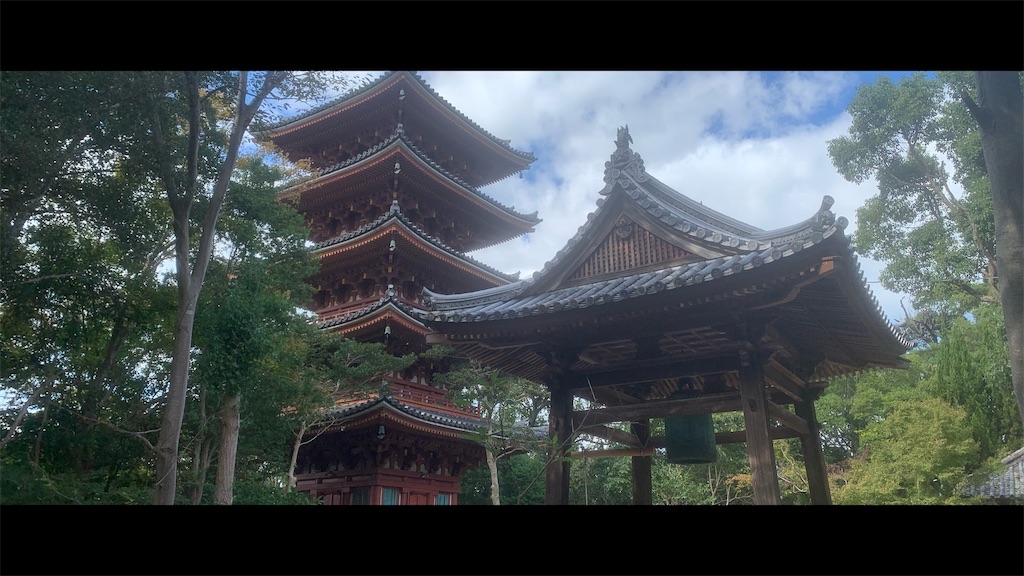 f:id:futagoya3:20251103211037j:image f:id:futagoya3:20251103211037j:image