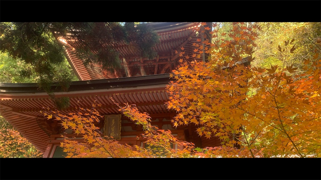f:id:futagoya3:20251201170050j:image f:id:futagoya3:20251201170050j:image
