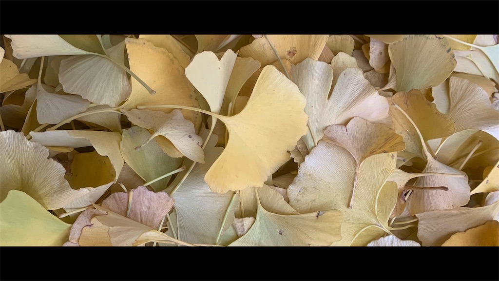 f:id:futagoya3:20251208201158j:image f:id:futagoya3:20251208201158j:image