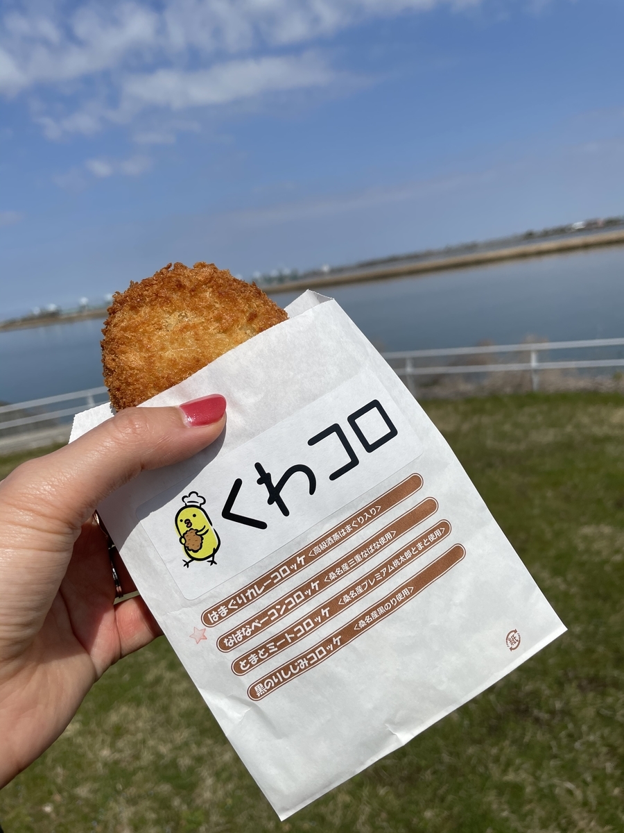 f:id:futaki:20210319051410j:plain