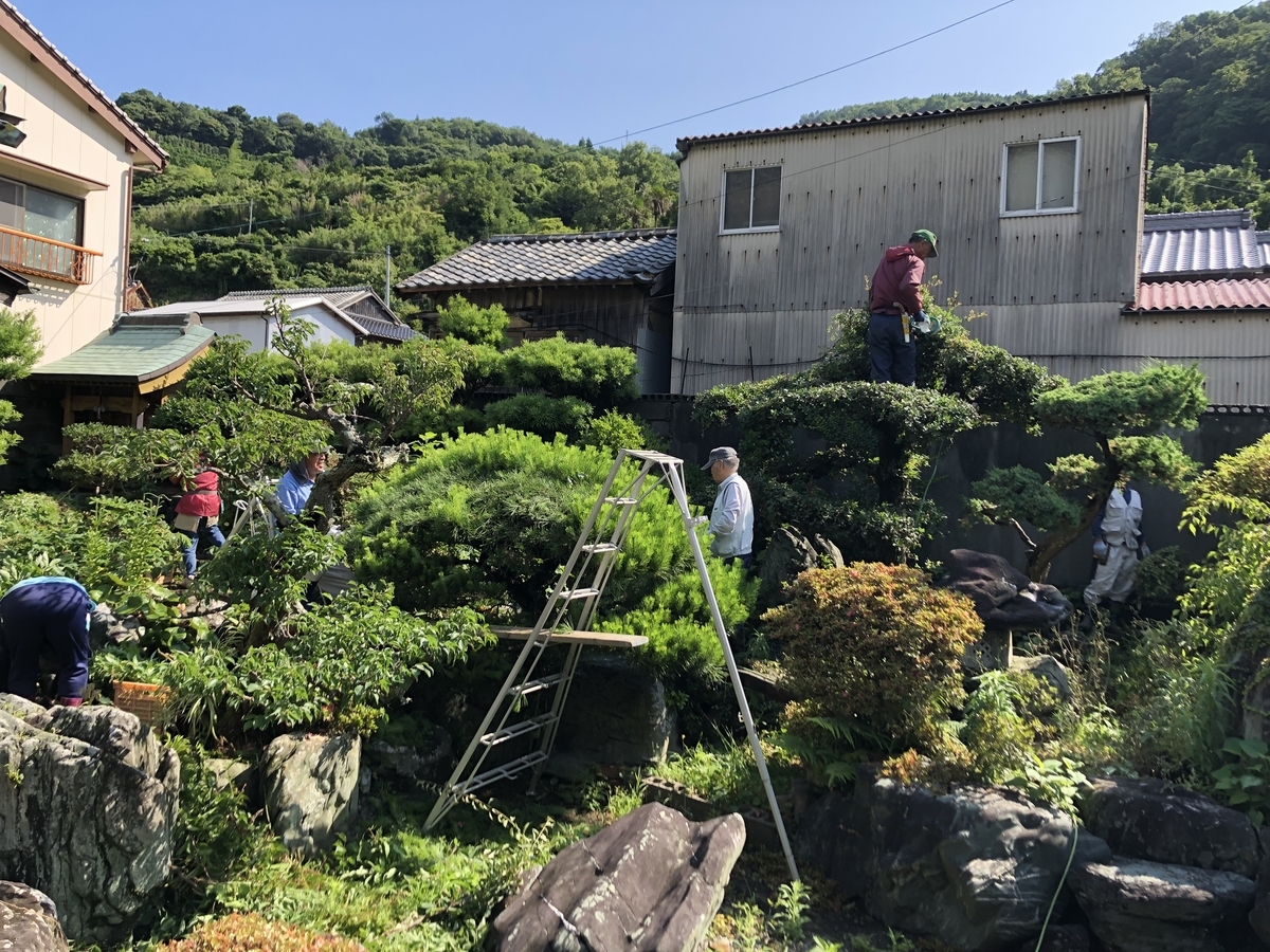 f:id:futanazuwagayatei:20190624104249j:plain f:id:futanazuwagayatei:20190624104249j:plain