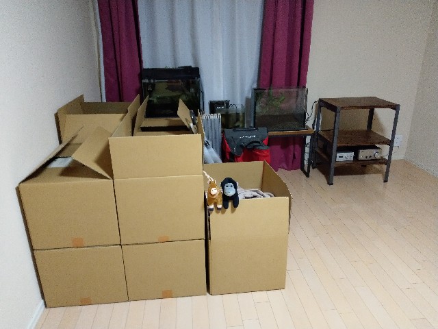 f:id:futaridejiyuu:20190110234109j:image f:id:futaridejiyuu:20190110234109j:image