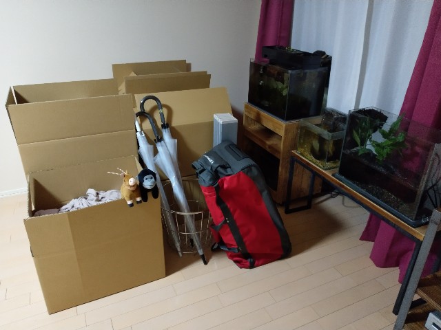 f:id:futaridejiyuu:20190110234125j:image f:id:futaridejiyuu:20190110234125j:image