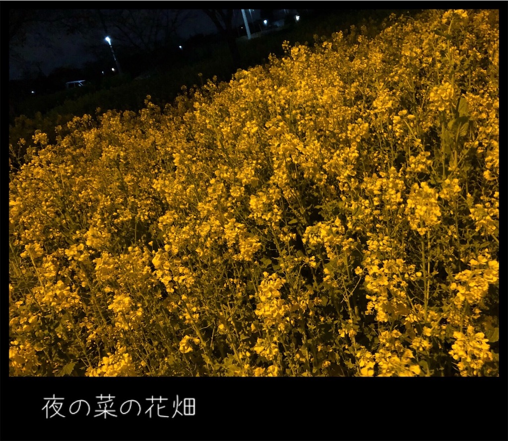 f:id:futaridejiyuu:20190302005744j:image f:id:futaridejiyuu:20190302005744j:image