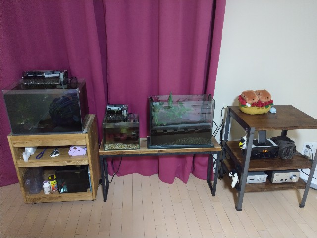 f:id:futaridejiyuu:20190329085830j:image f:id:futaridejiyuu:20190329085830j:image