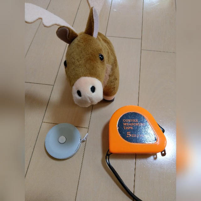 f:id:futaridejiyuu:20190401081754j:image f:id:futaridejiyuu:20190401081754j:image