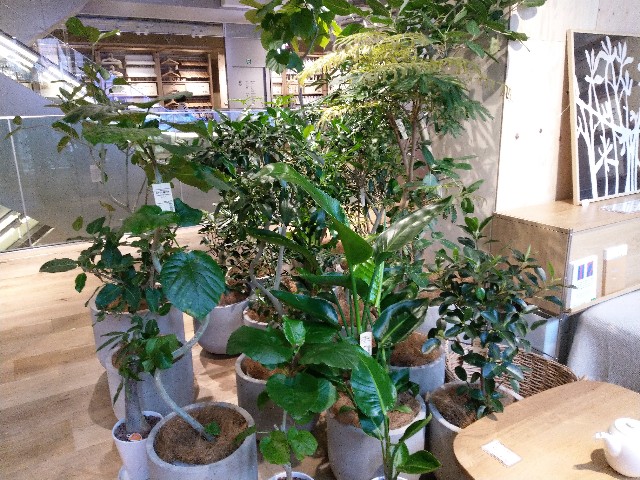 f:id:futaridejiyuu:20190411135225j:image f:id:futaridejiyuu:20190411135225j:image