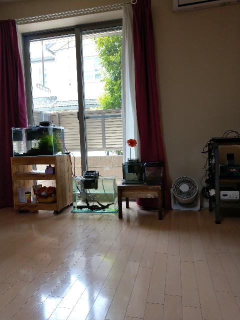 f:id:futaridejiyuu:20190421121844j:image f:id:futaridejiyuu:20190421121844j:image