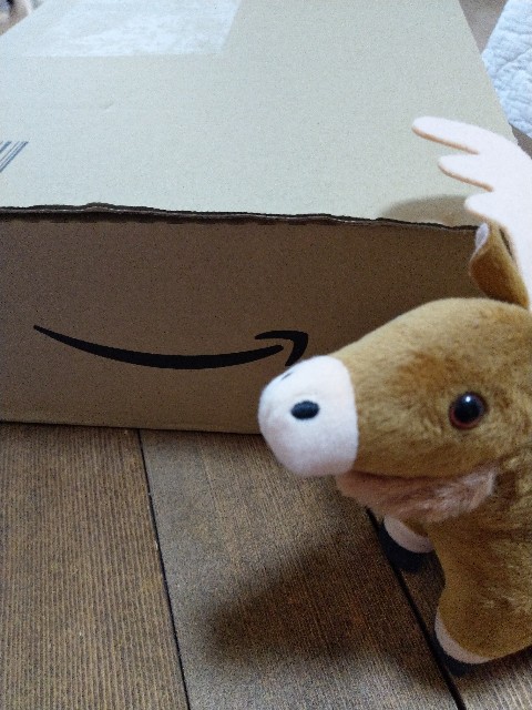 f:id:futaridejiyuu:20190717152044j:image f:id:futaridejiyuu:20190717152044j:image
