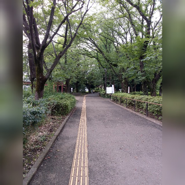無意味で不毛なコミュニケーションは止めよう 訳アリなふたりで脱