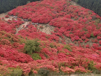 f:id:futarinoyama:20120520151642j:image:w360:left