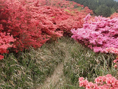 f:id:futarinoyama:20120520151652j:image:w360:left