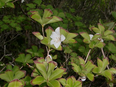 f:id:futarinoyama:20120527213350j:image:w360 f:id:futarinoyama:20120527213350j:image:w360