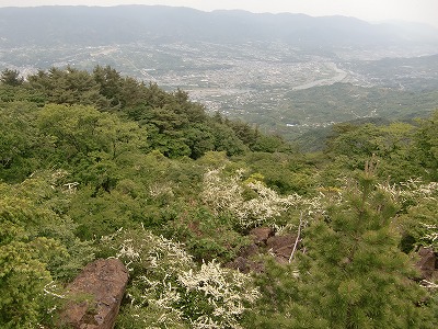 f:id:futarinoyama:20120604080620j:image:w360 f:id:futarinoyama:20120604080620j:image:w360