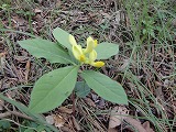 f:id:futarinoyama:20120604080651j:image:w360 f:id:futarinoyama:20120604080651j:image:w360