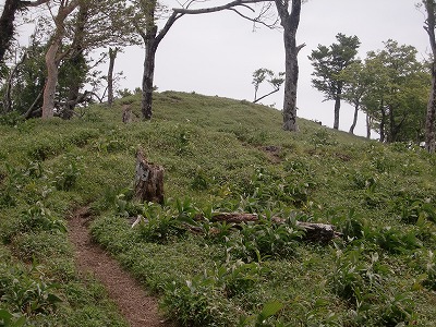 f:id:futarinoyama:20120624202406j:image:w360 f:id:futarinoyama:20120624202406j:image:w360