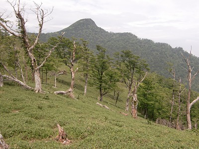 f:id:futarinoyama:20120624202437j:image:w360 f:id:futarinoyama:20120624202437j:image:w360