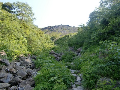 f:id:futarinoyama:20120630214435j:image:w360 f:id:futarinoyama:20120630214435j:image:w360
