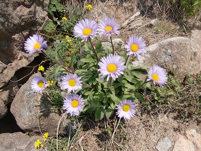 f:id:futarinoyama:20120630214810j:image:w360 f:id:futarinoyama:20120630214810j:image:w360
