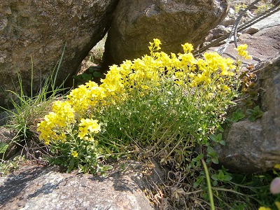 f:id:futarinoyama:20120630233717j:image:w360 f:id:futarinoyama:20120630233717j:image:w360