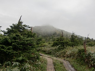 f:id:futarinoyama:20120715204947j:image:w360:left f:id:futarinoyama:20120715204947j:image:w360:left