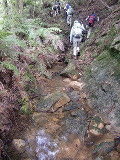f:id:futarinoyama:20120722084306j:image f:id:futarinoyama:20120722084306j:image