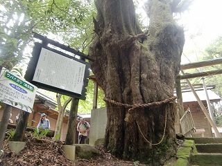 f:id:futarinoyama:20120722084323j:image f:id:futarinoyama:20120722084323j:image