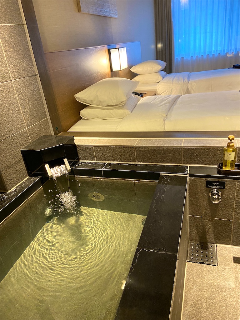 f:id:futaritabibiyori:20210315200938j:image f:id:futaritabibiyori:20210315200938j:image