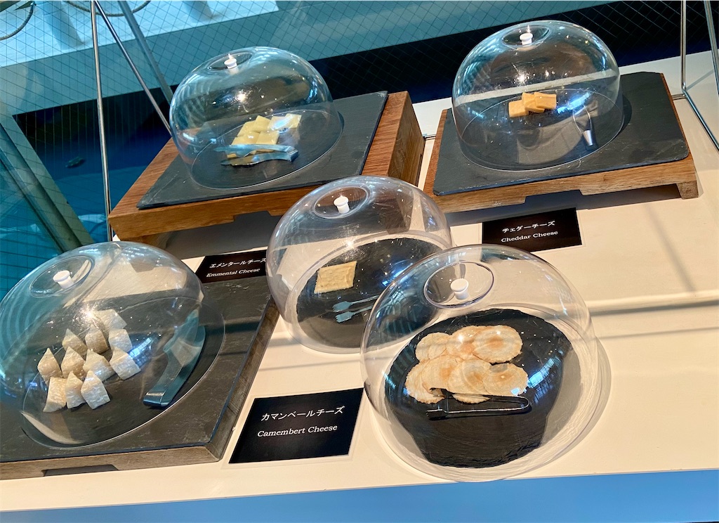 f:id:futaritabibiyori:20210511153549j:image