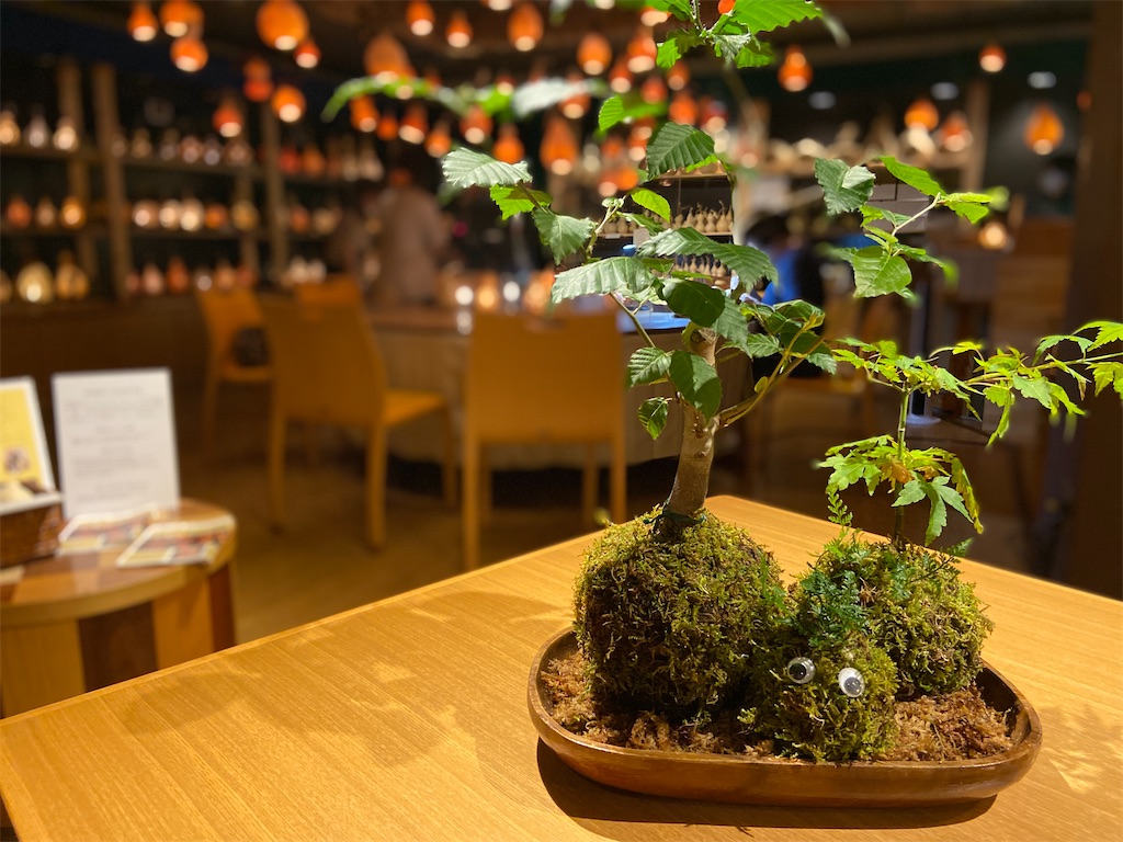 f:id:futaritabibiyori:20220730145201j:image f:id:futaritabibiyori:20220730145201j:image