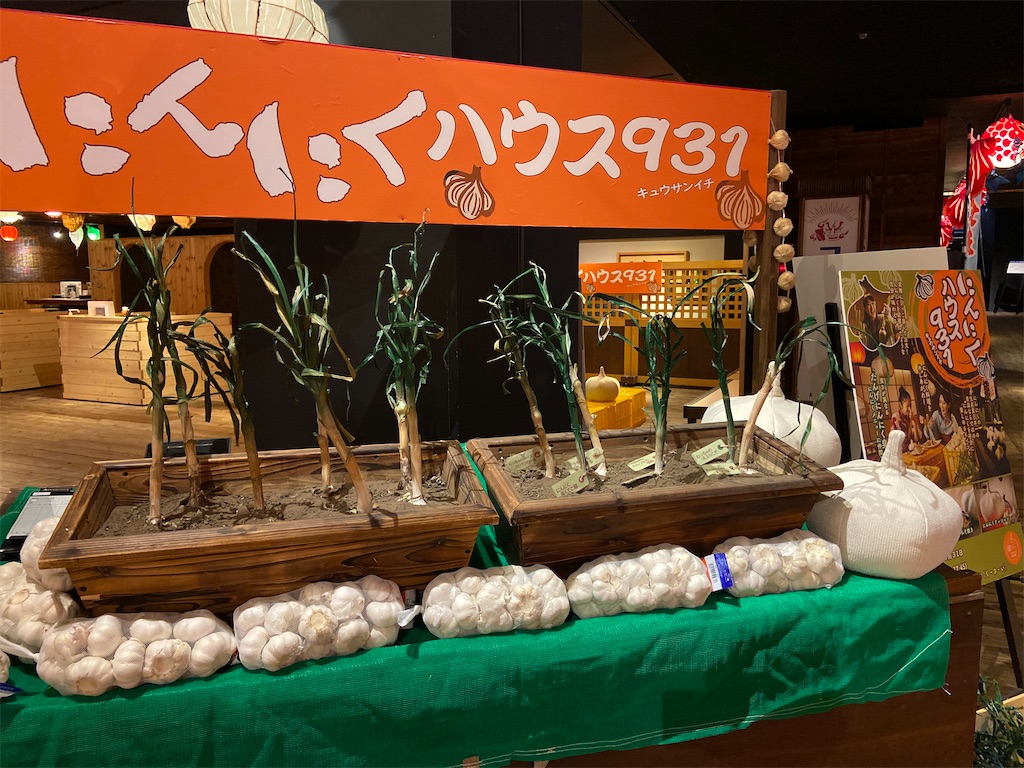 f:id:futaritabibiyori:20220803073937j:image