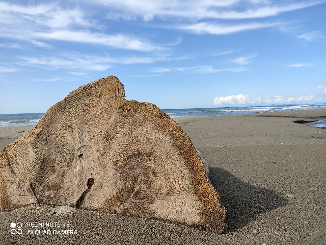f:id:futatsumori:20200922220344j:image f:id:futatsumori:20200922220344j:image