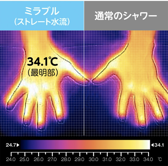 f:id:futenchannel:20210207161830j:plain