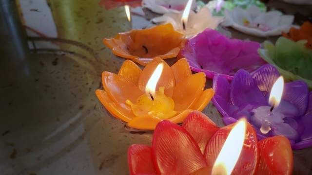 f:id:futenchannel:20210227135350j:plain