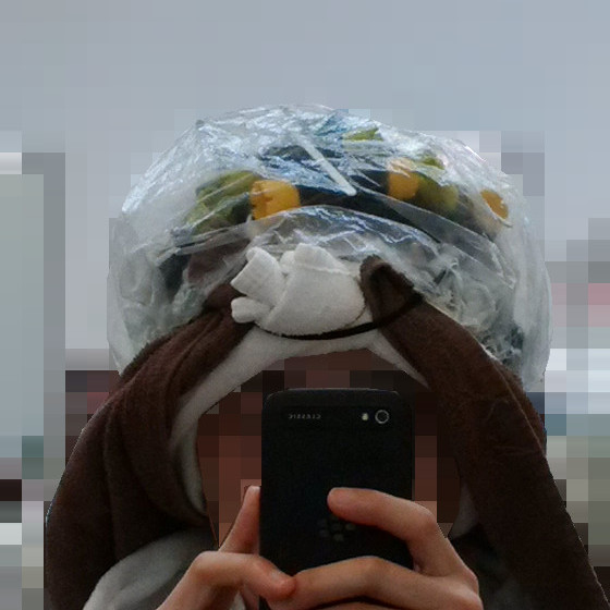f:id:futo-c:20151223222946j:plain