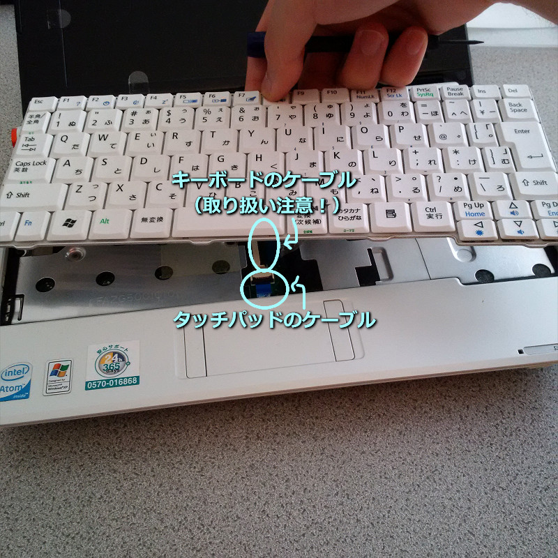 f:id:futo-c:20160517003043j:plain f:id:futo-c:20160517003043j:plain