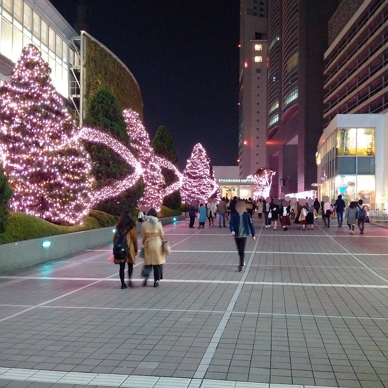 f:id:futo-c:20161114002547j:plain