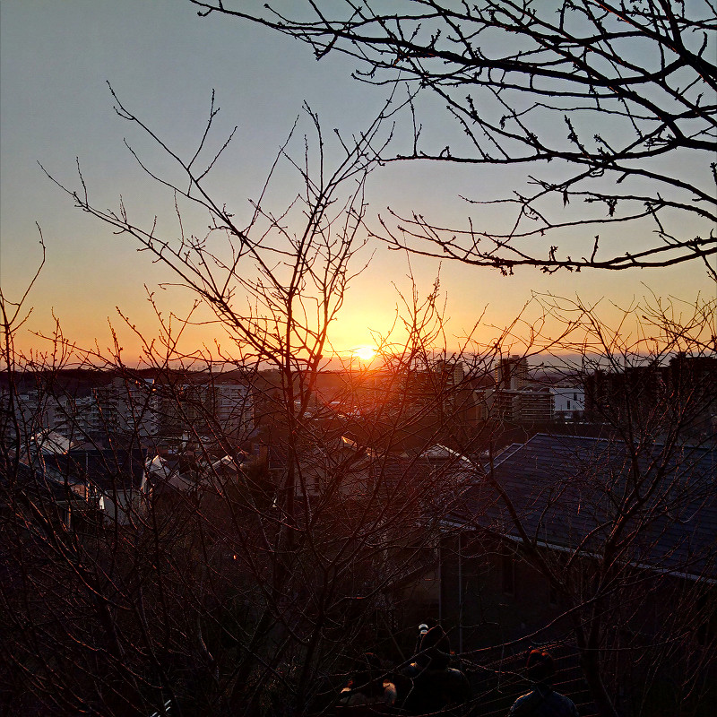 f:id:futo-c:20170101205525j:plain