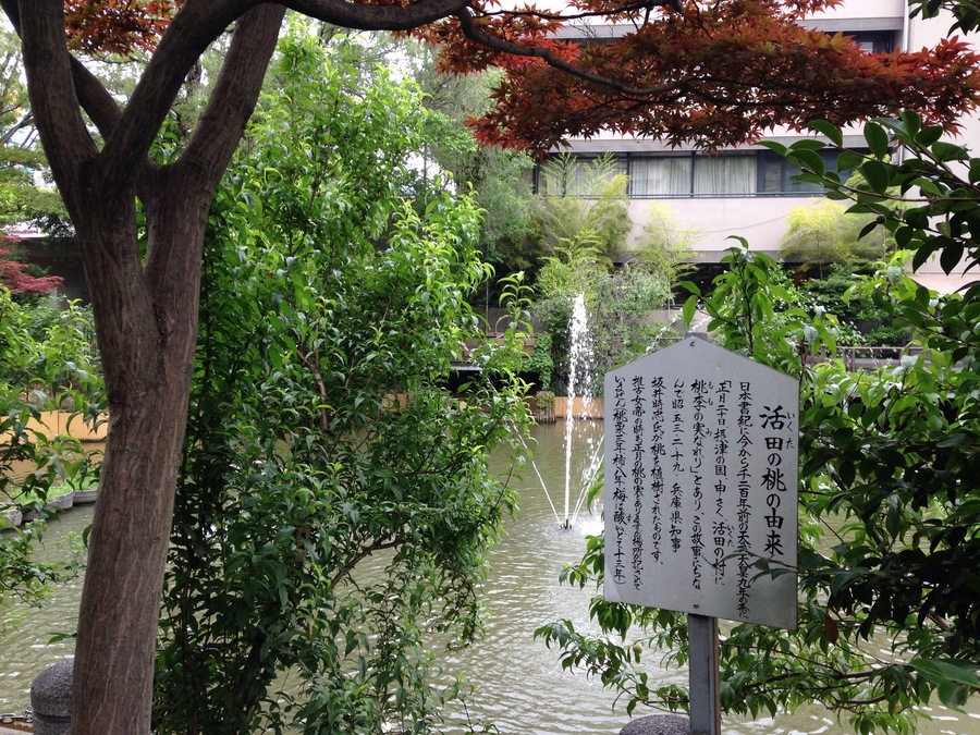 f:id:futon345:20150613143215j:plain f:id:futon345:20150613143215j:plain