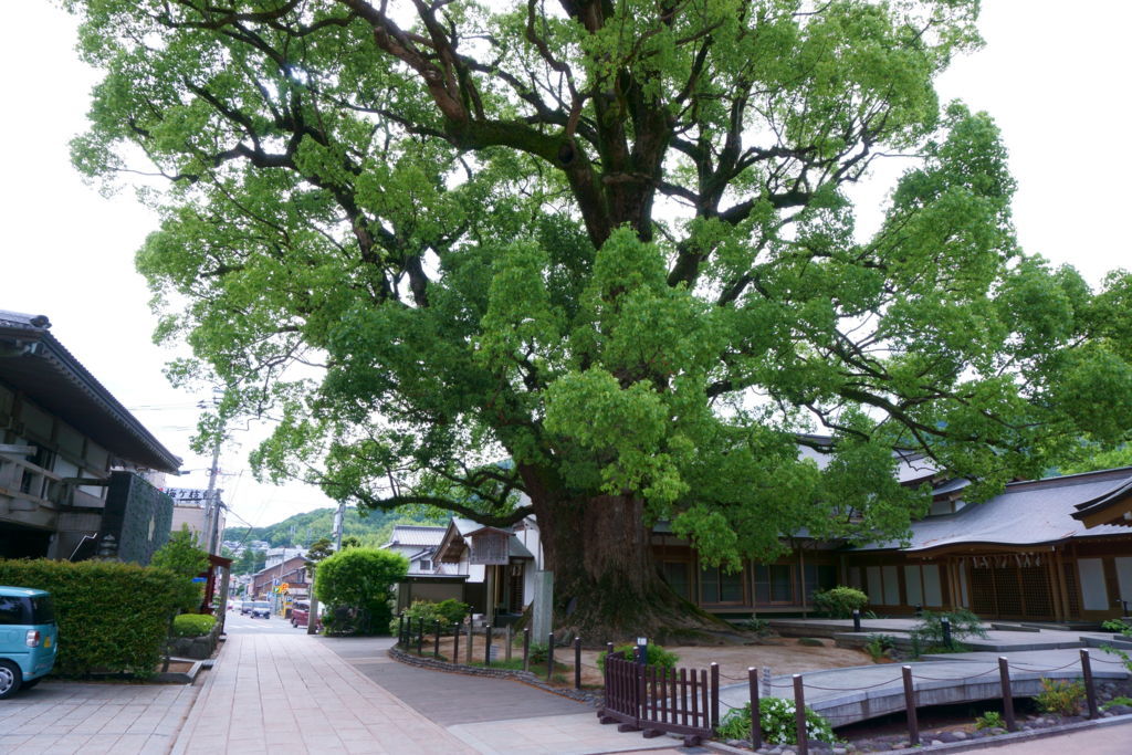 f:id:futon345:20180522205957j:plain f:id:futon345:20180522205957j:plain