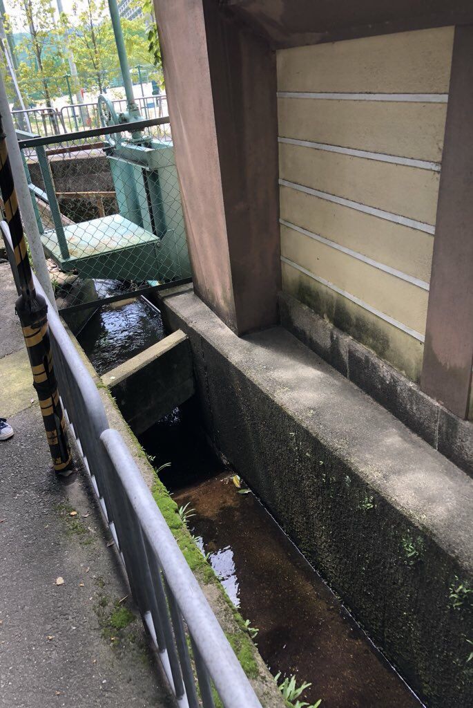 f:id:futon345:20180702112122j:plain f:id:futon345:20180702112122j:plain