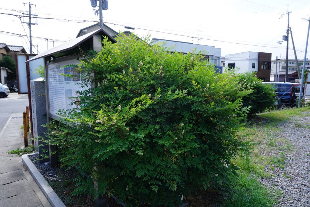 f:id:futon345:20180703222855j:plain f:id:futon345:20180703222855j:plain