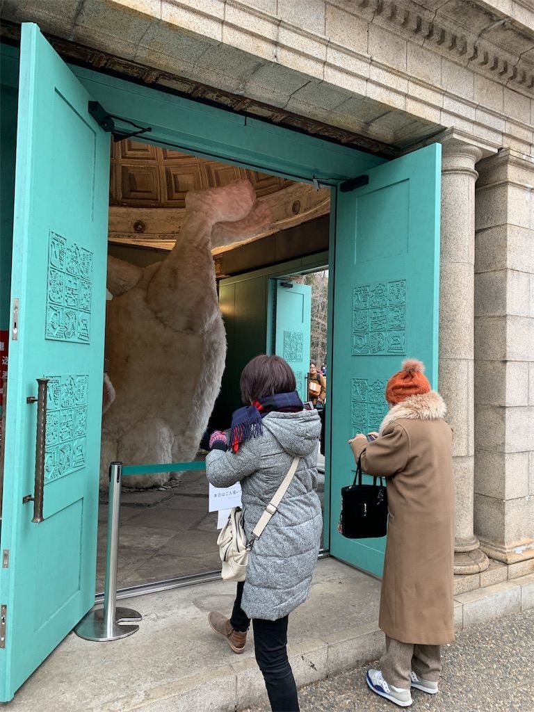 f:id:futon345:20190116222407j:image f:id:futon345:20190116222407j:image